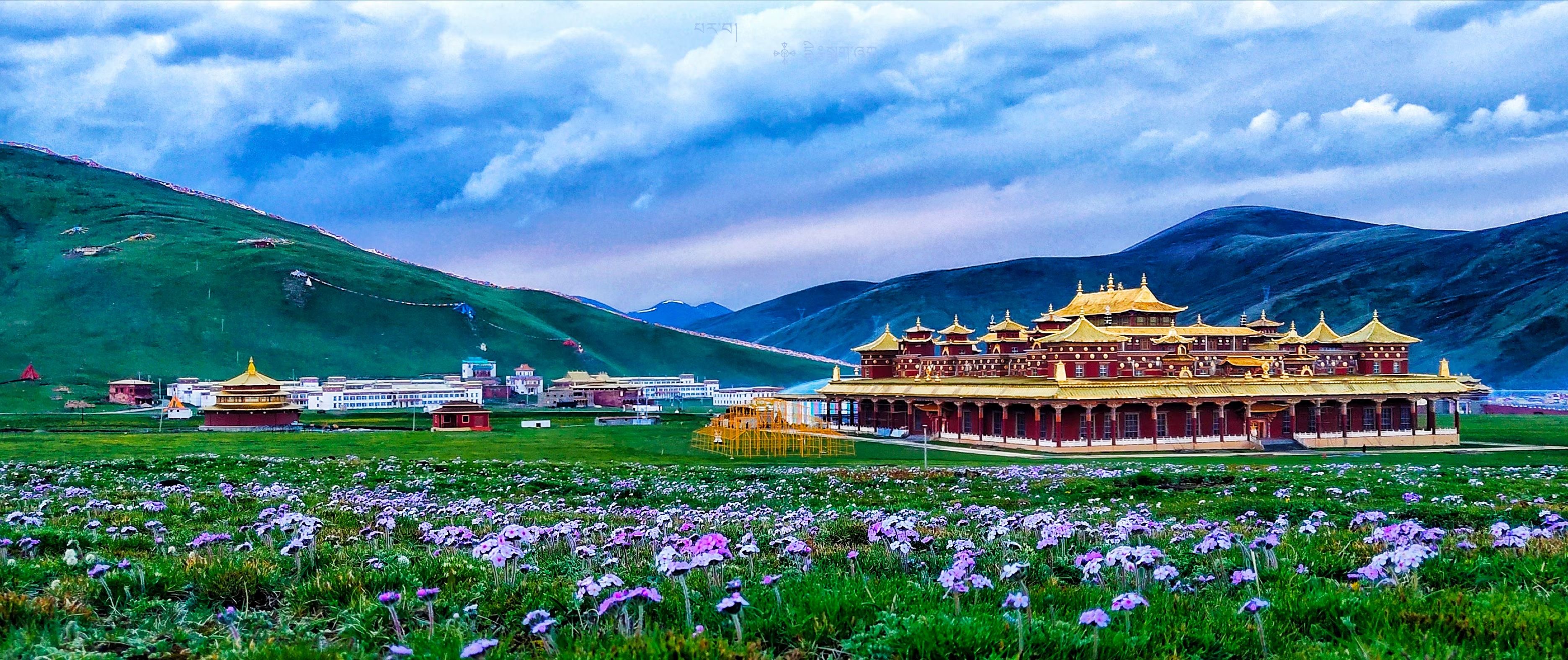 一个道人唱着深情的歌